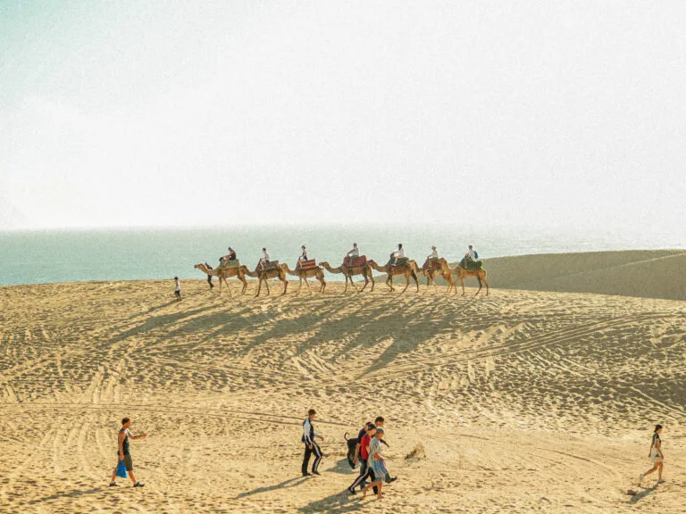timlalin dunes