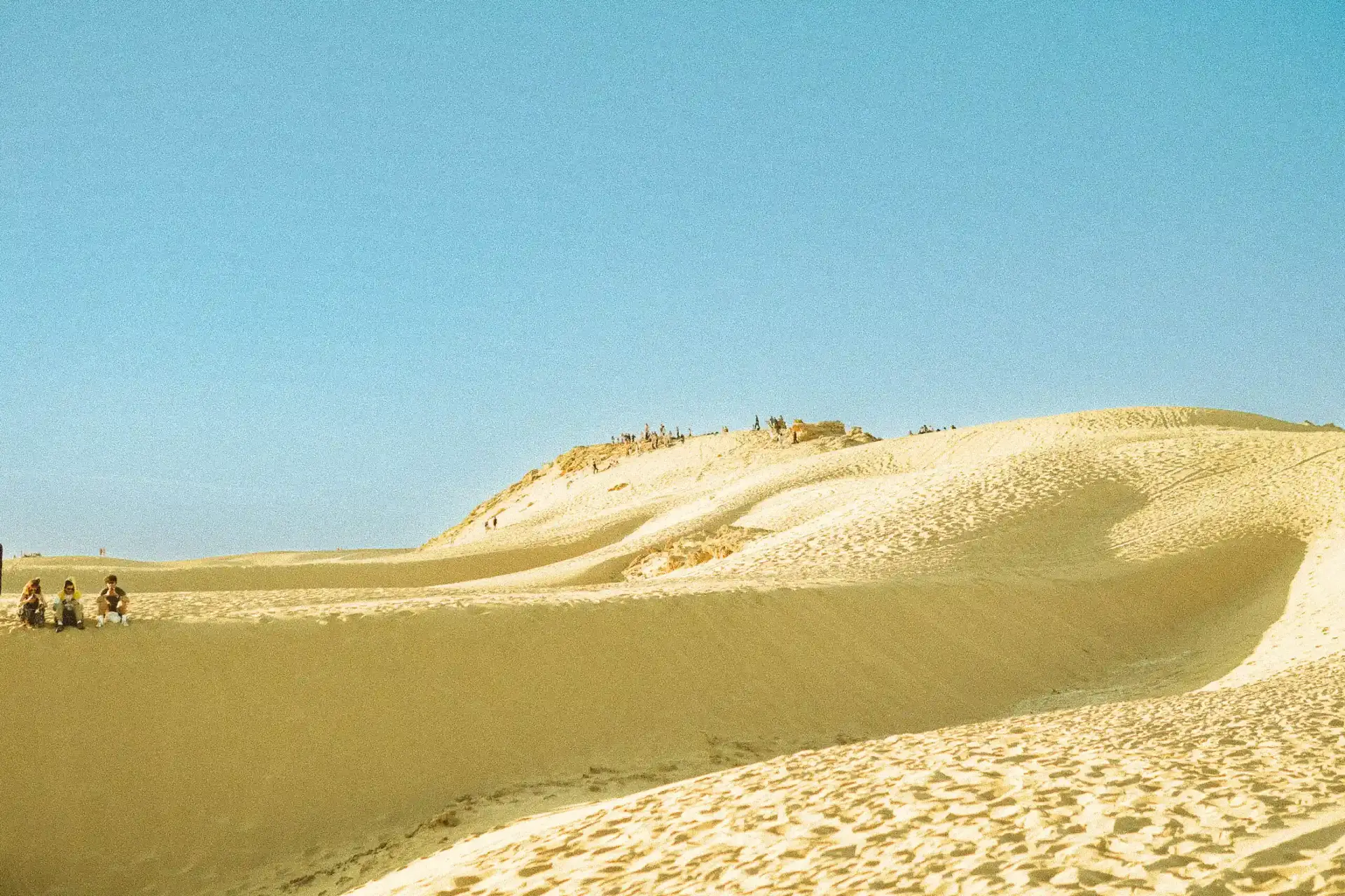 sandboarding tamraght